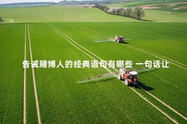告诫赌博人的经典语句有哪些 一句话让赌博的人戒赌